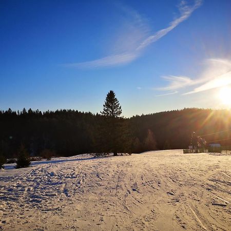 Вилла Chalet A L'Oree Du Bois Ле-Толи Экстерьер фото