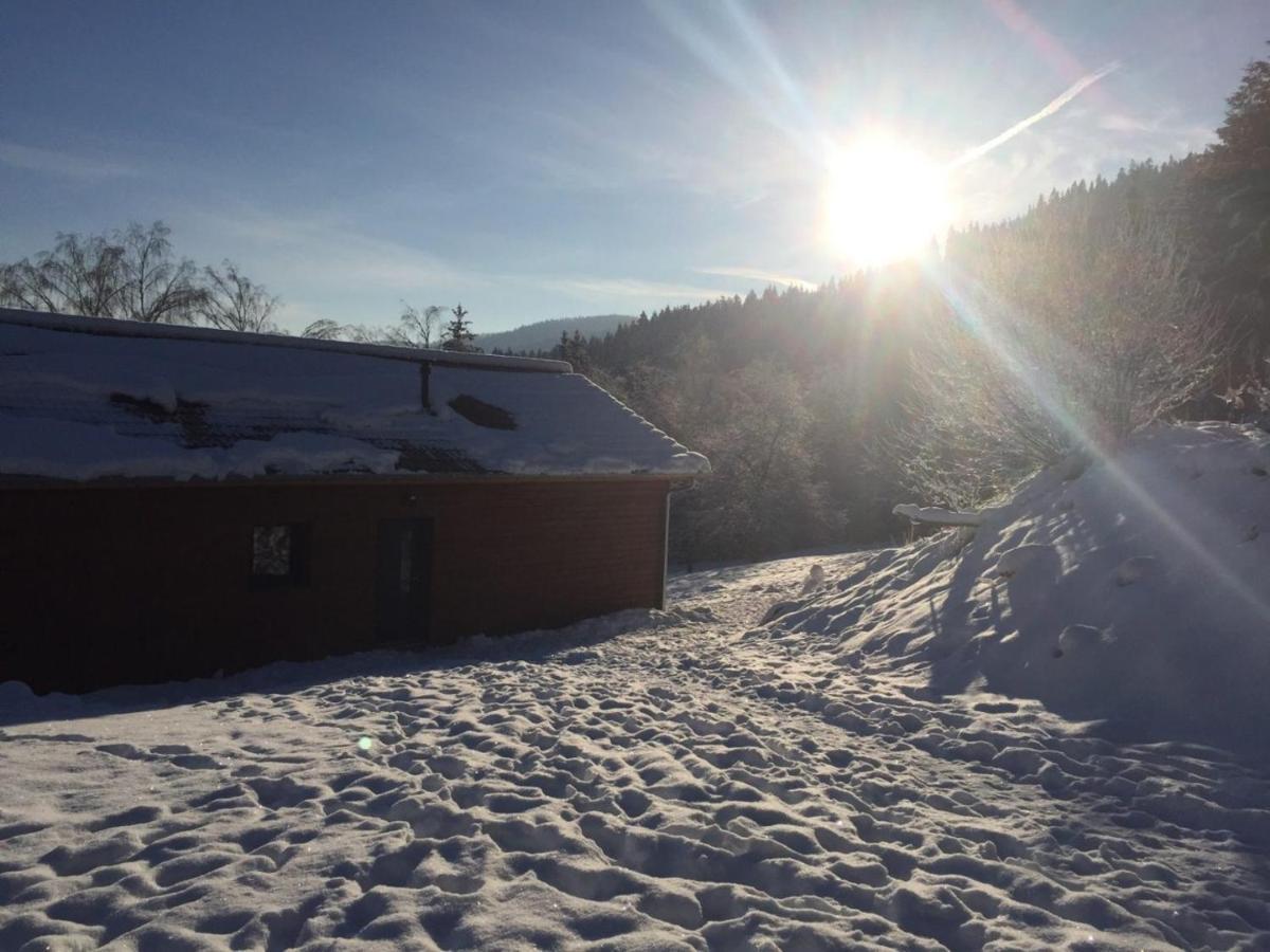 Вилла Chalet A L'Oree Du Bois Ле-Толи Экстерьер фото