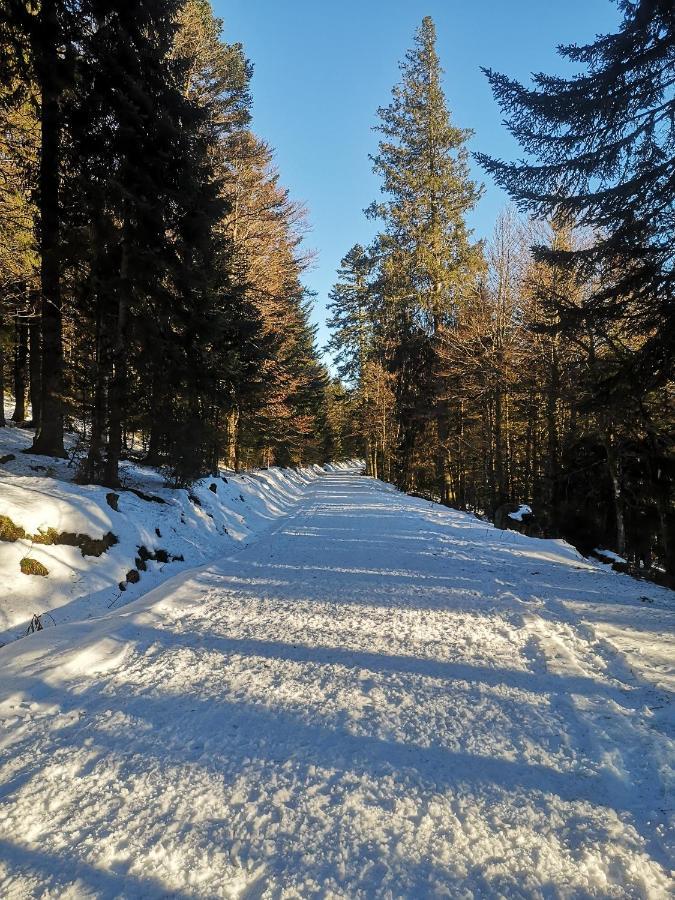 Вилла Chalet A L'Oree Du Bois Ле-Толи Экстерьер фото